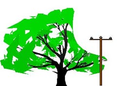 Tree wire with respect to tree trimming. Graphics by Marmon Utility. Tree wire with respect to tree trimming. Graphics by Marmon Utility.