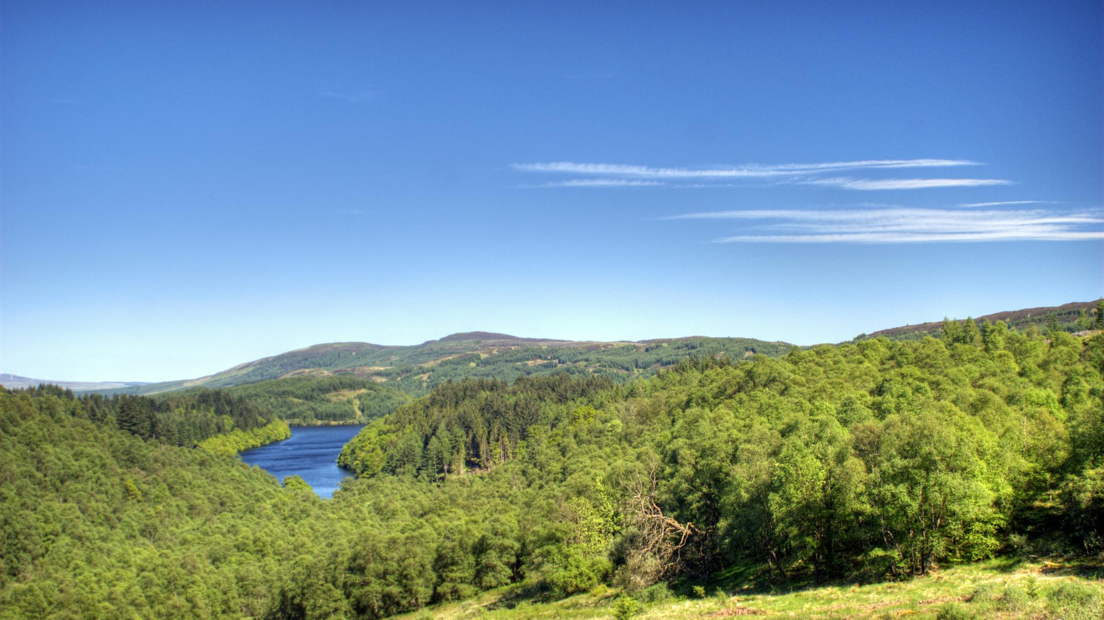 66017d67aaea44001ee78b8d Dreamstime M 9737943