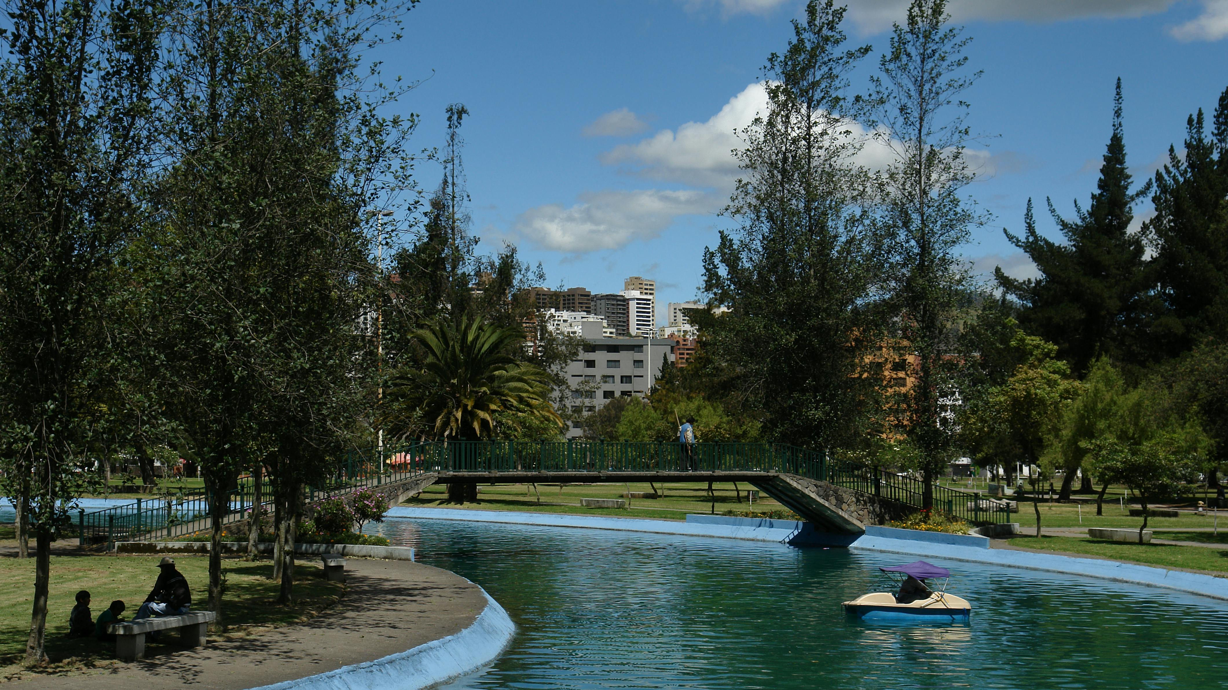 6601e39f46d665001e28dd64 Dreamstime Xxl 1119293