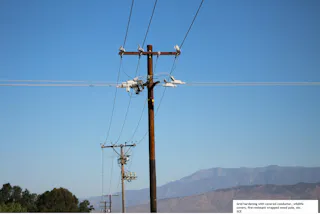 SCE Reduces Faults, Lowers Risk of Wildfire Ignitions | T&D World