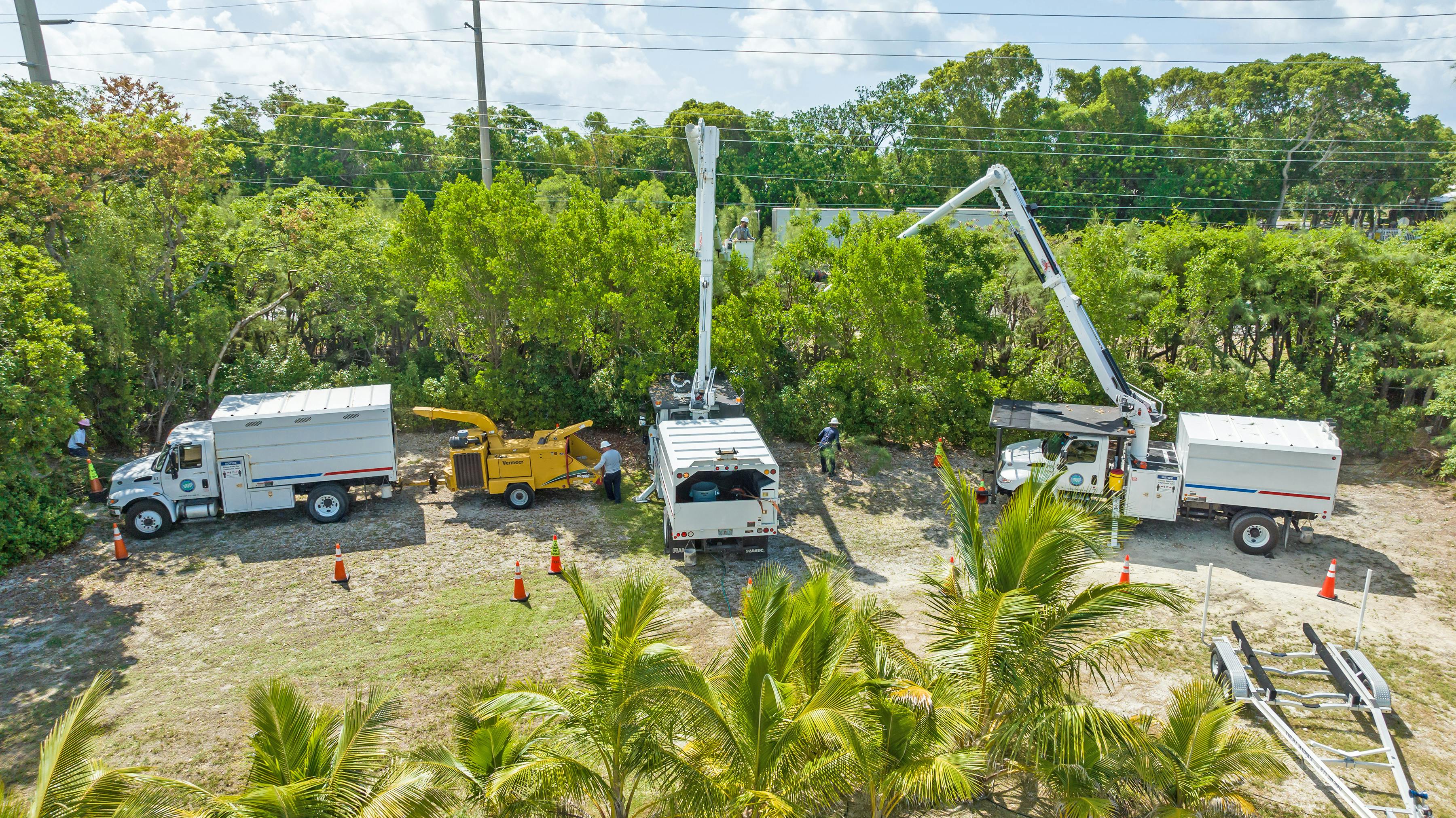 FKEC tree crews trim trees in Key Largo, Florida, to maintain line clearance as part of the co-op's year-round work implementing a comprehensive vegetation management program to prevent outages caused by vegetation.