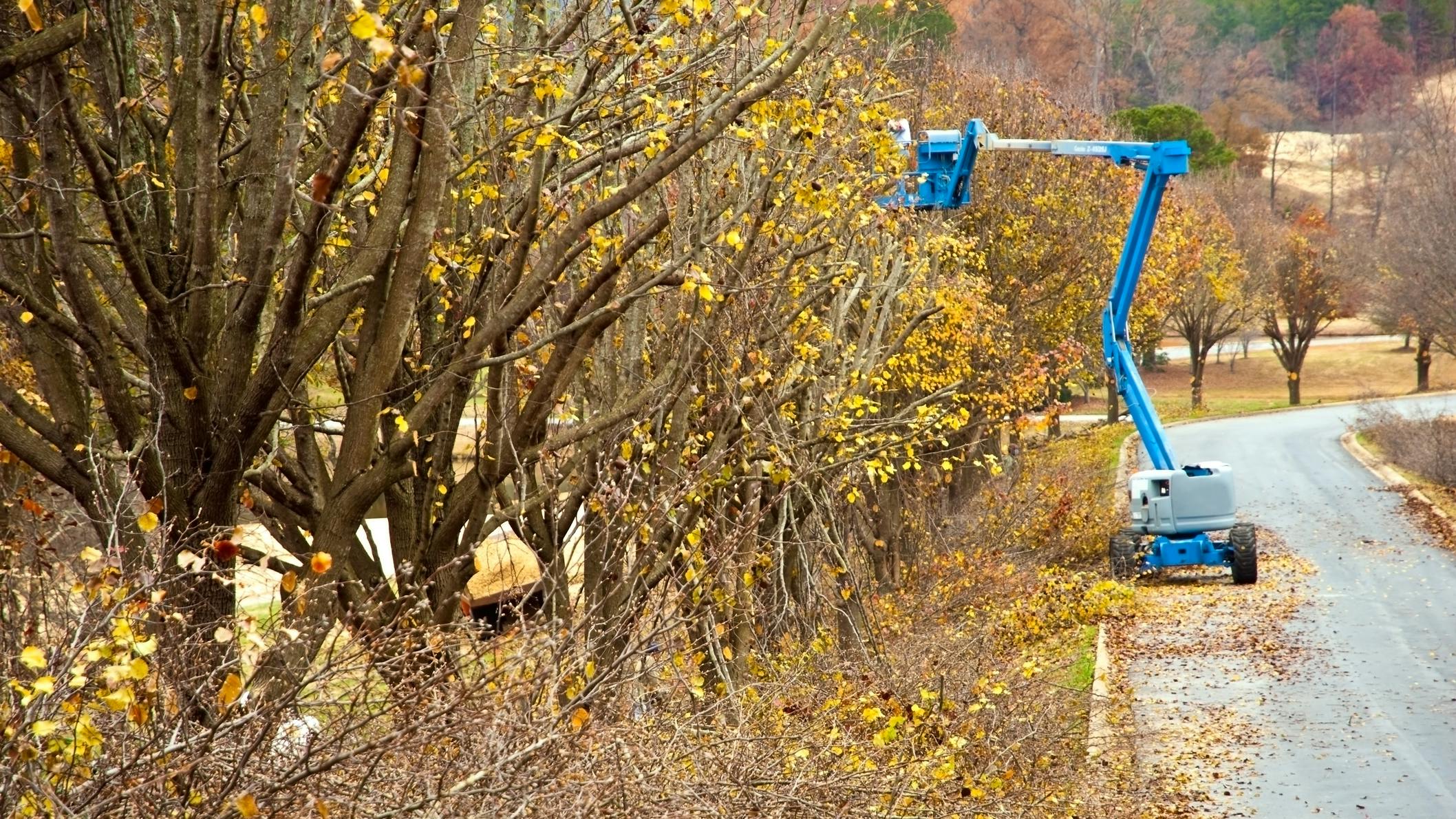 6615346de4501a001e923463 Dreamstime M 7329312