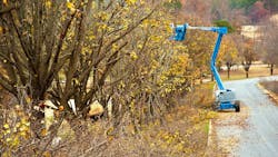 6615346de4501a001e923463 Dreamstime M 7329312 6615346de4501a001e923463 Dreamstime M 7329312