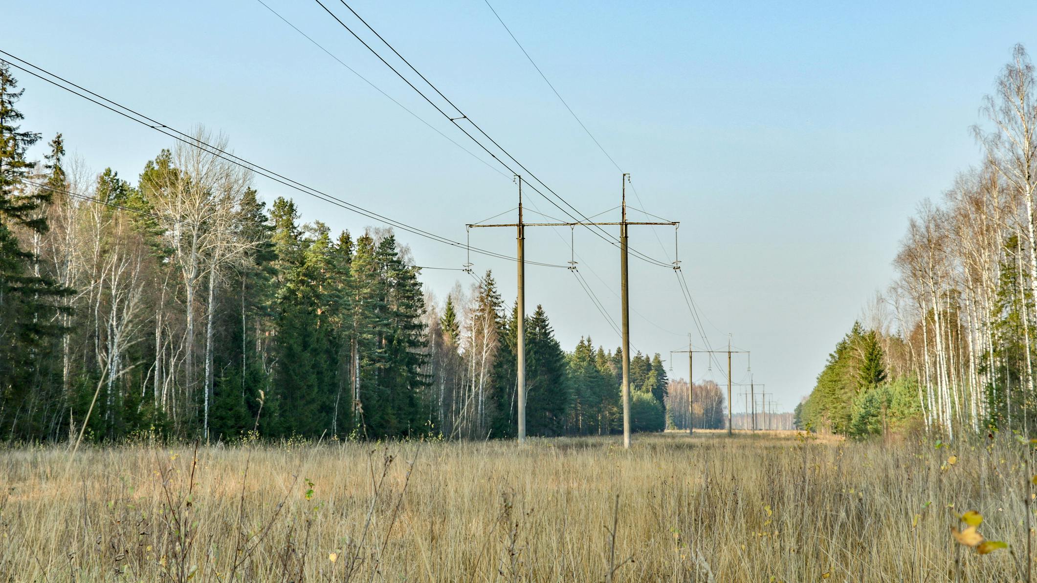 dreamstime_m_16258391021