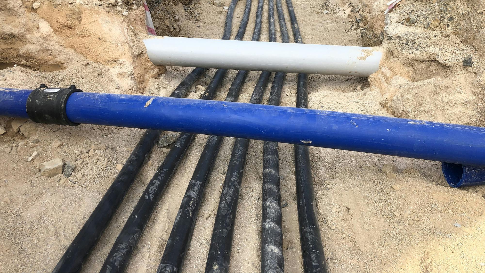 66182b6f544506001ea5f650 Dreamstime M 164635078