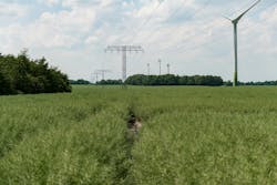 Effectively managing corridors across E.ON’s vast distribution network is integral to its grid resilience strategy. Effectively managing corridors across E.ON’s vast distribution network is integral to its grid resilience strategy.