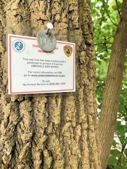 An Emerald Ash Borer treatment sign is posted with a number on an Ash tree trunk. The New Jersey Department of Parks and Forestry project tags forest trees in danger of being killed by the insecta pest beetle. An Emerald Ash Borer treatment sign is posted with a number on an Ash tree trunk. The New Jersey Department of Parks and Forestry project tags forest trees in danger of being killed by the insecta pest beetle.