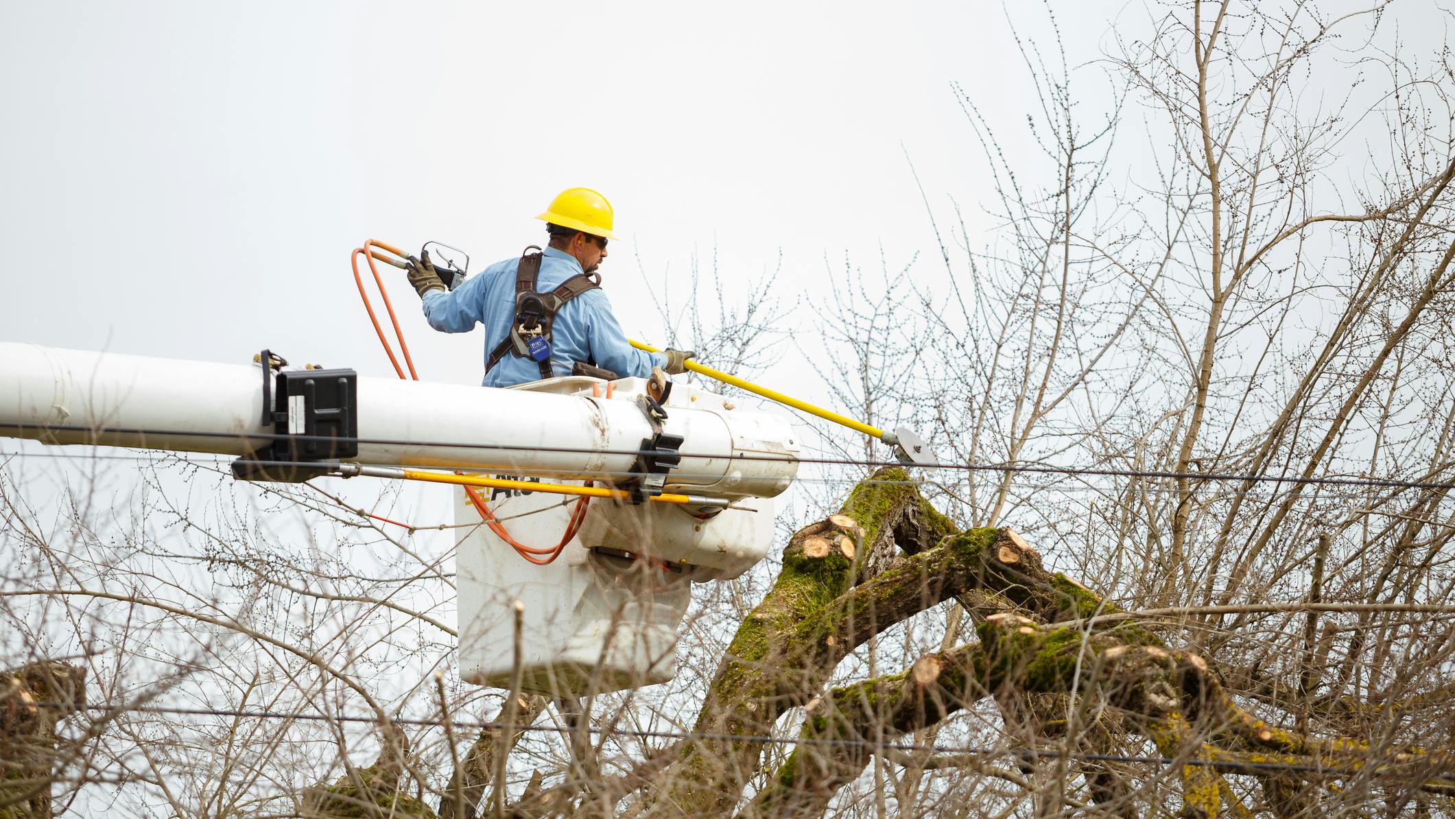 6627acd54291db001ef392b4 Dreamstime M 67499728