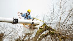 6627acd54291db001ef392b4 Dreamstime M 67499728 6627acd54291db001ef392b4 Dreamstime M 67499728