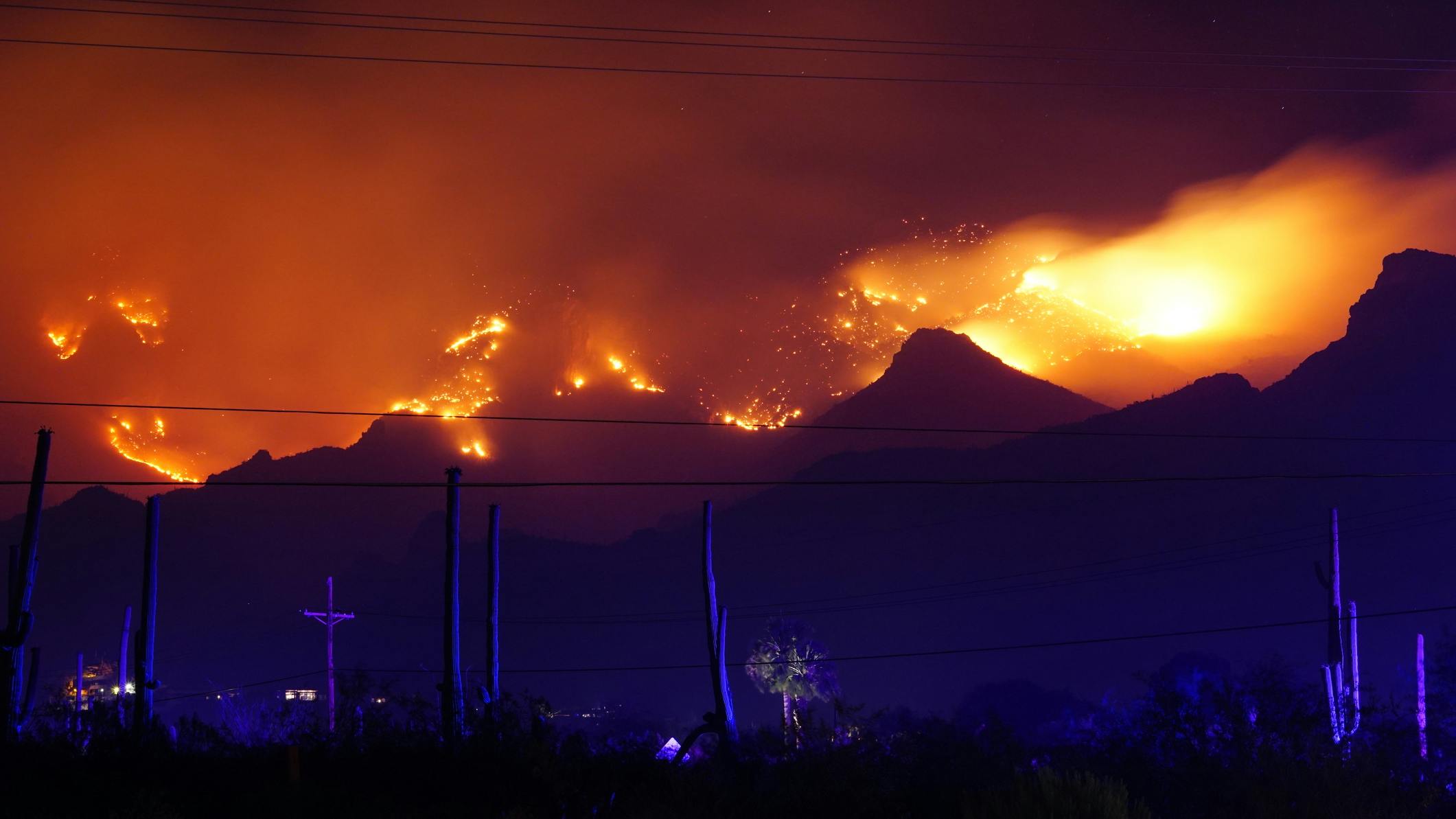 6627b030db3842001db81f93 Dreamstime M 186503868