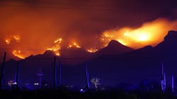 6627b030db3842001db81f93 Dreamstime M 186503868 6627b030db3842001db81f93 Dreamstime M 186503868