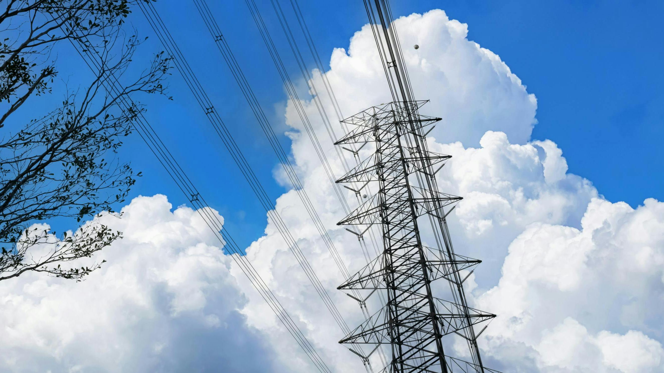 dreamstime_l_312211567