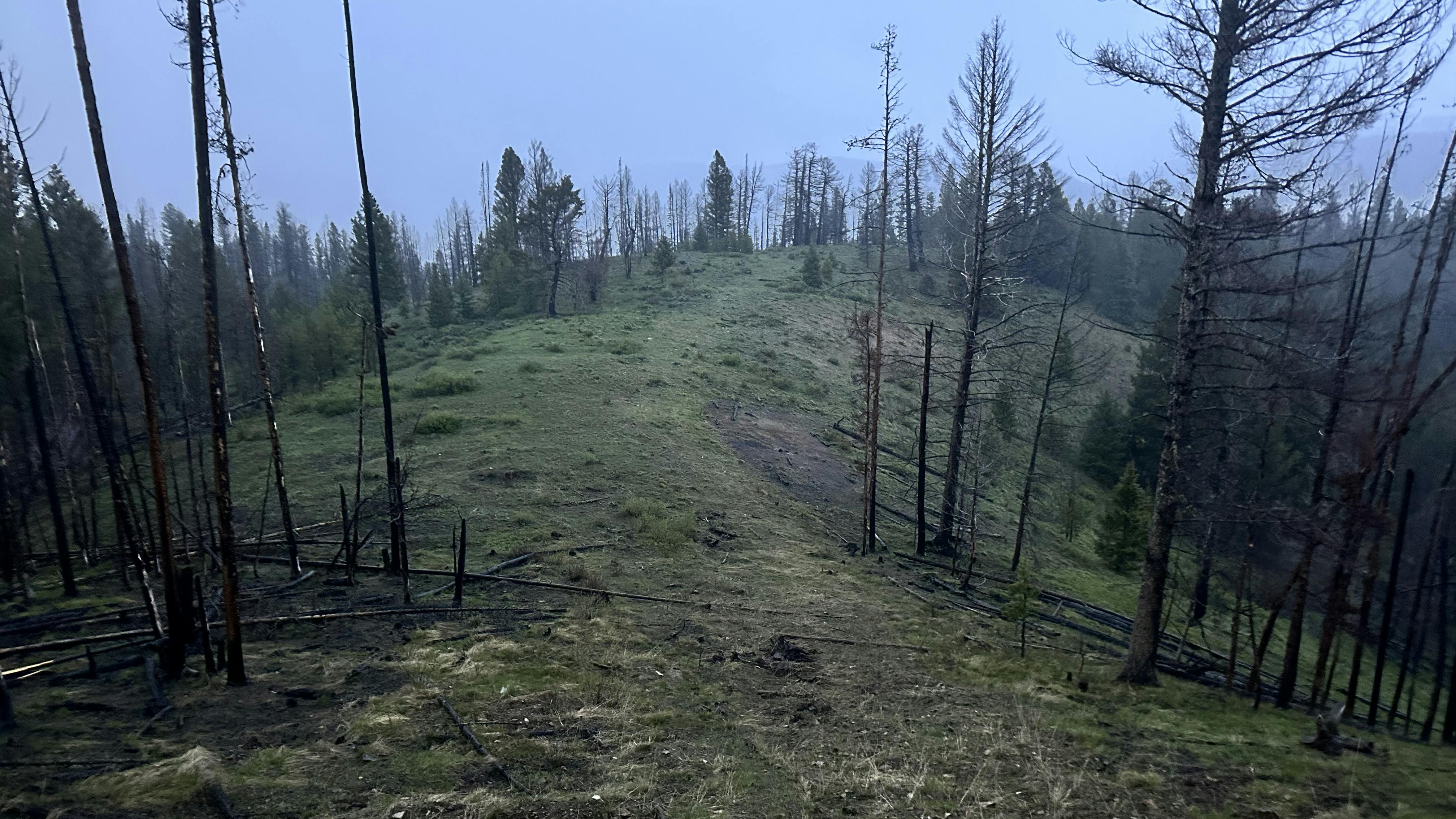 662add8946733d001ec5ff87 Tdw Aug 5