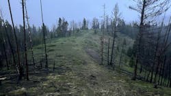 662add8946733d001ec5ff87 Tdw Aug 5 662add8946733d001ec5ff87 Tdw Aug 5