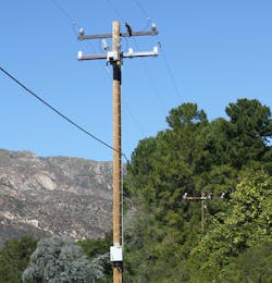 Sensing technology, EFD, installed on electric pole to monitor, detect damaged equipment before failure. Photo by SCE.