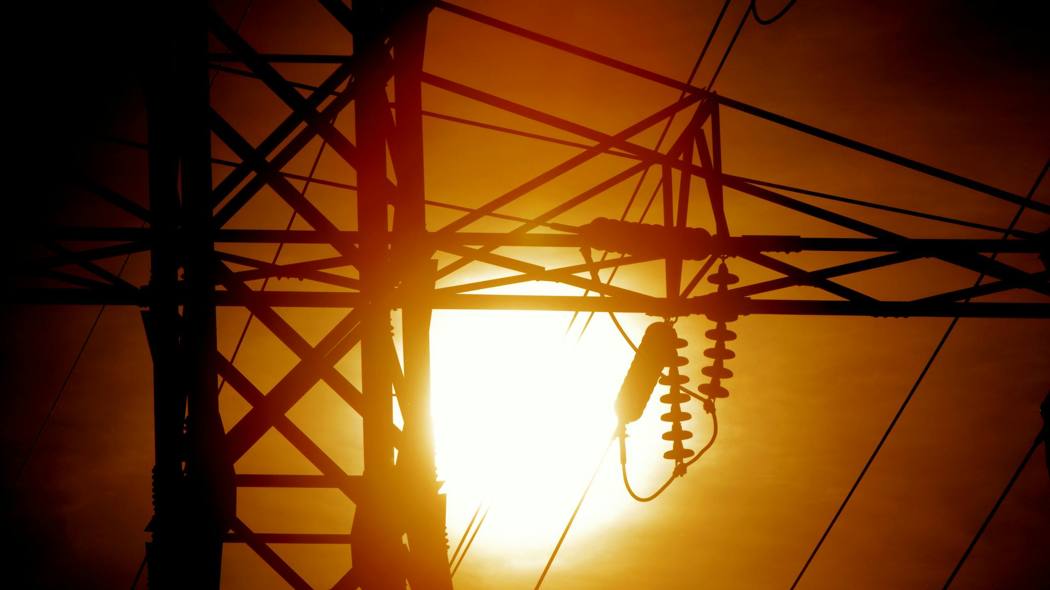 663bb1d9f95b9e6462d2a210 Dreamstime M 31505374