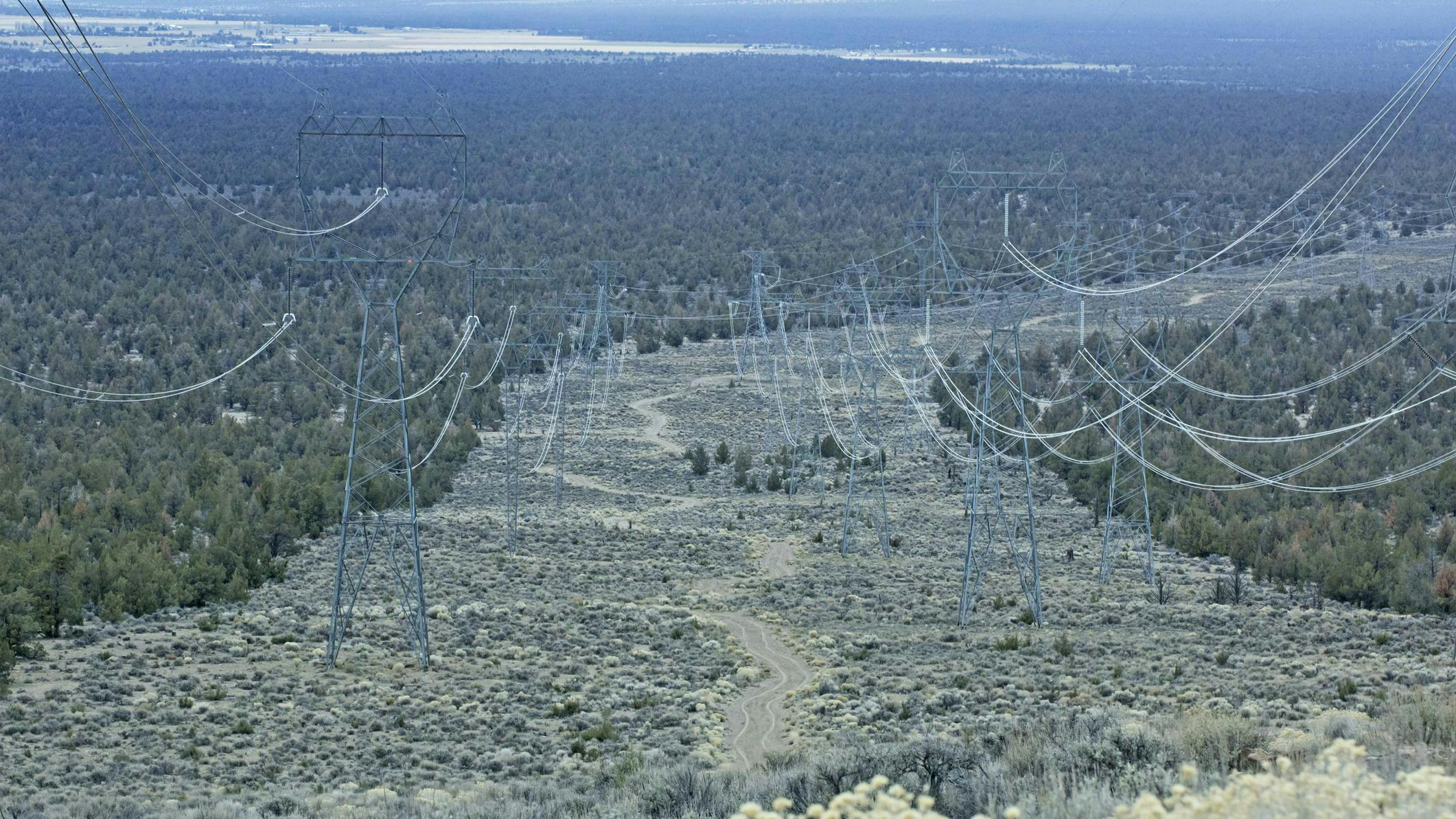 663e5d318f86be0df3f6f3d8 Dreamstime M 35704977