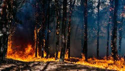 66435e1a3d1f9d7a9ef78979 Dreamstime M 113651664 66435e1a3d1f9d7a9ef78979 Dreamstime M 113651664