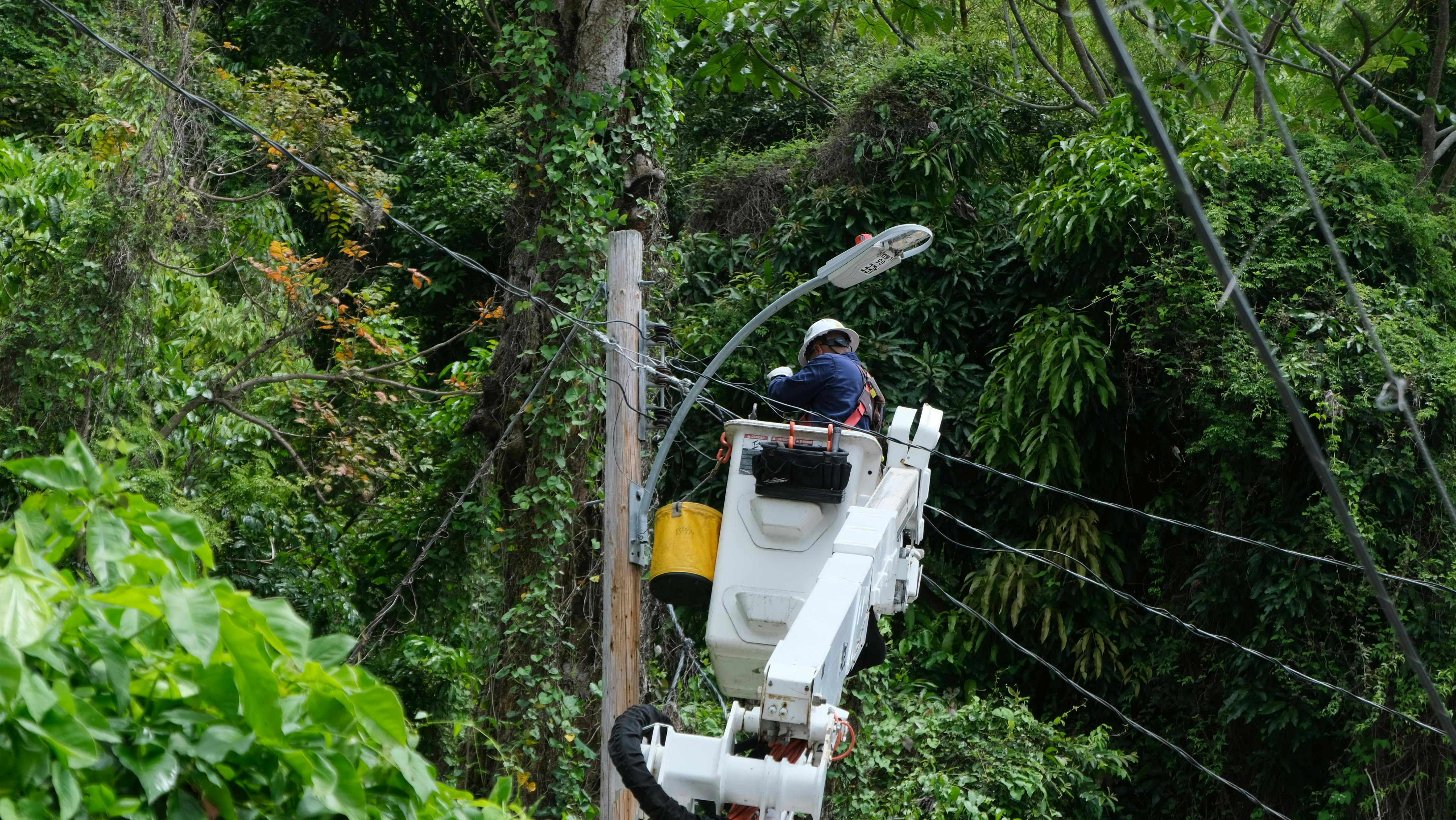 LUMA line workers install new streetlights, illuminating neighborhoods and enhancing safety for residents.