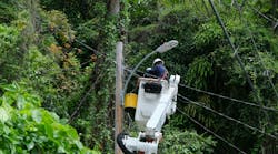 LUMA line workers install new streetlights, illuminating neighborhoods and enhancing safety for residents. LUMA line workers install new streetlights, illuminating neighborhoods and enhancing safety for residents.