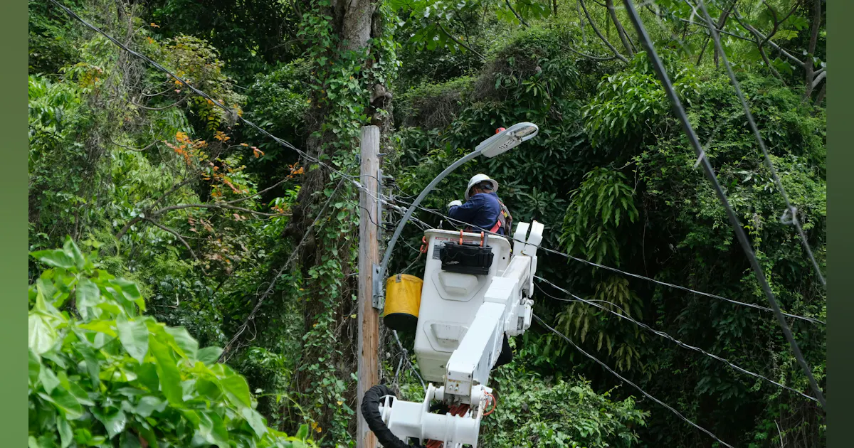 Puerto Rico Utilities Puerto Rico's LUMA Sees Power Grid Reliability Progress | TD World