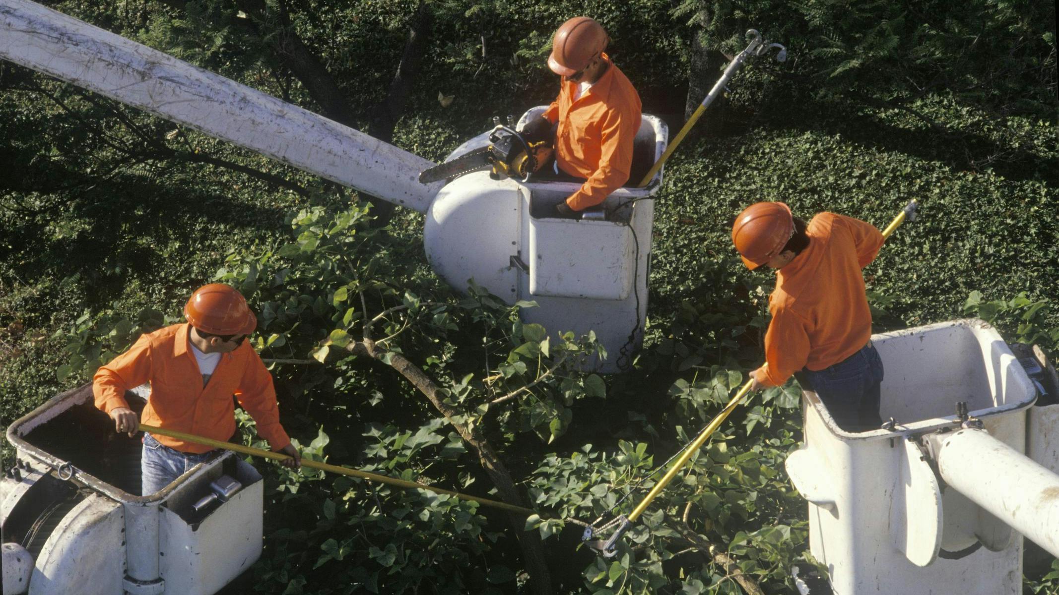 664fb143fe498d2fec39db41 Dreamstime M 25961031