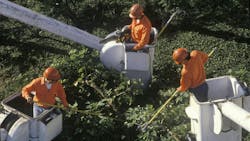 664fb143fe498d2fec39db41 Dreamstime M 25961031 664fb143fe498d2fec39db41 Dreamstime M 25961031