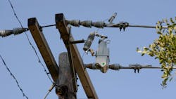 664fb7f09899325c4ae40103 461tripsaveriisinglephaseleft Sm 664fb7f09899325c4ae40103 461tripsaveriisinglephaseleft Sm