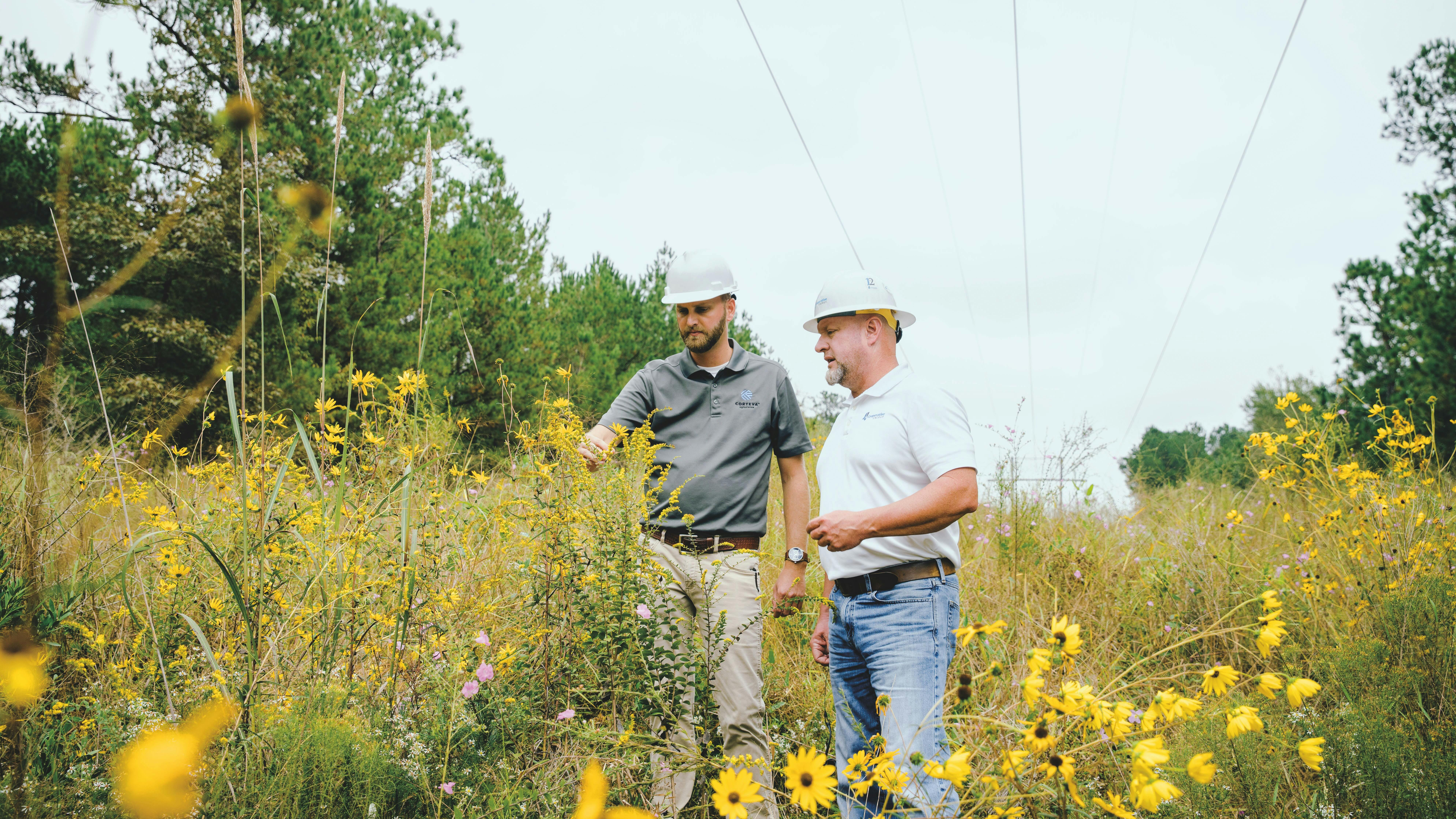 665608329a56995dc3226af5 Csuite 5