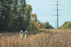 As IVM program is a commitment to environmental and fiscal stewardship and involves a programmatic approach to managing ROW vegetation with the specific goals of restoring or preserving native habitat and furthering sustainable utility operations. As IVM program is a commitment to environmental and fiscal stewardship and involves a programmatic approach to managing ROW vegetation with the specific goals of restoring or preserving native habitat and furthering sustainable utility operations.