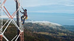 66561cc2f5b01656ee14ff88 Picture4 66561cc2f5b01656ee14ff88 Picture4