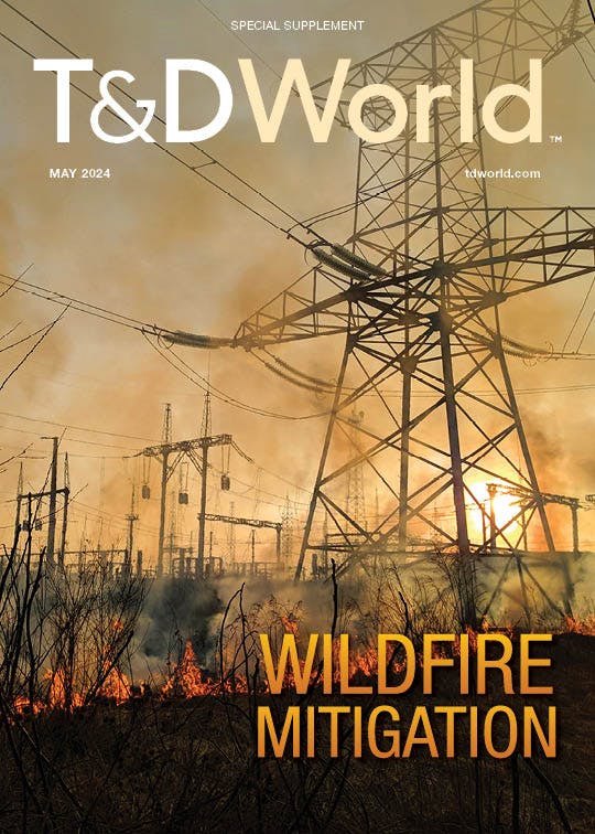 May 2024 Wildfire Supplement cover image