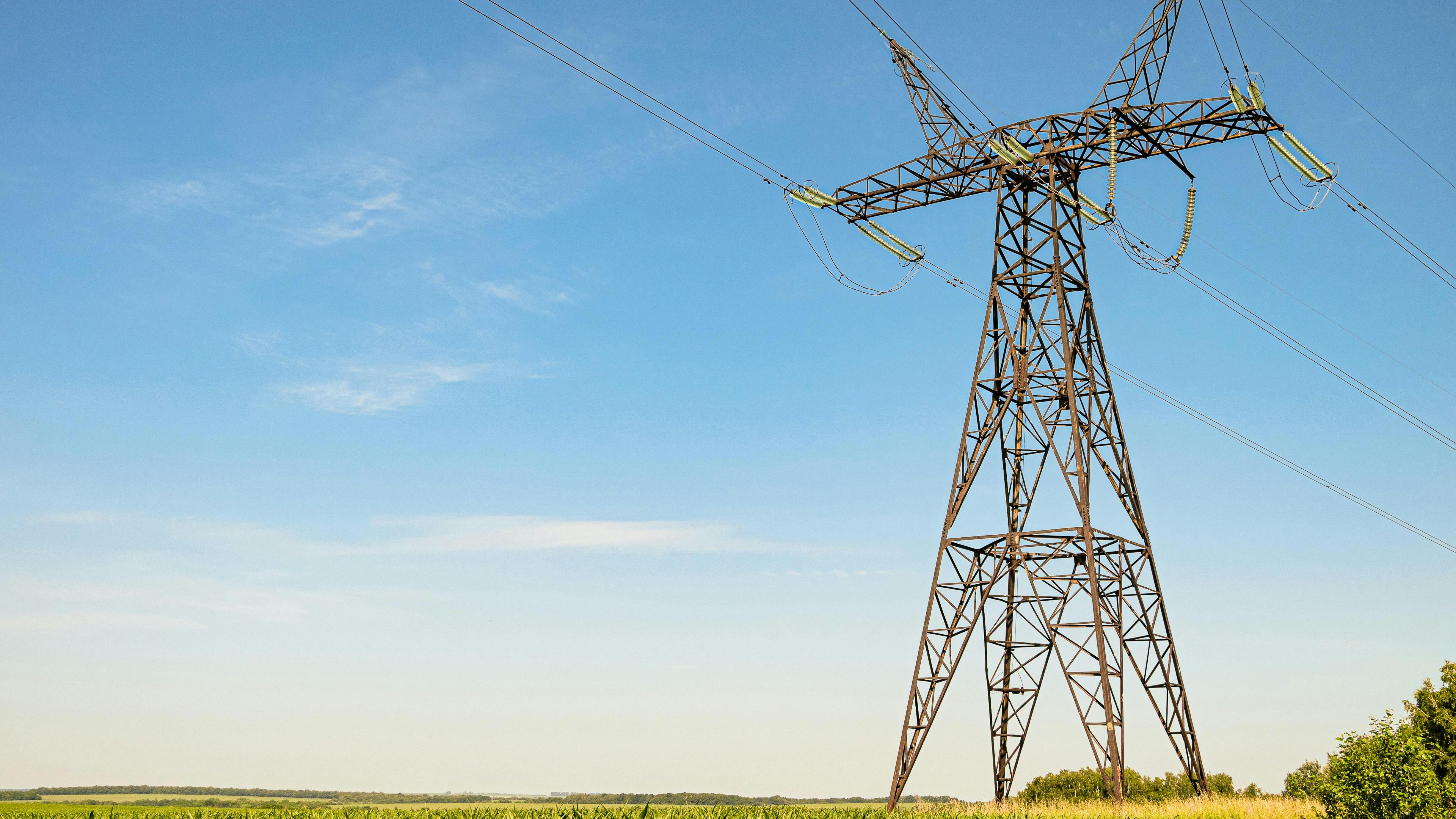 6661c047f8fae5a4241d22d5 Dreamstime Xxl 164491805