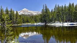 6669e3b1813cfd5db6209941 Dreamstime M 31771921 6669e3b1813cfd5db6209941 Dreamstime M 31771921