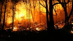 6669e7a8e7aff34114395cd6 Dreamstime M 6527770 6669e7a8e7aff34114395cd6 Dreamstime M 6527770