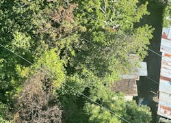 666b26326941c56f9f1b4a6a Screen Shot 20240613 At 12 666b26326941c56f9f1b4a6a Screen Shot 20240613 At 12