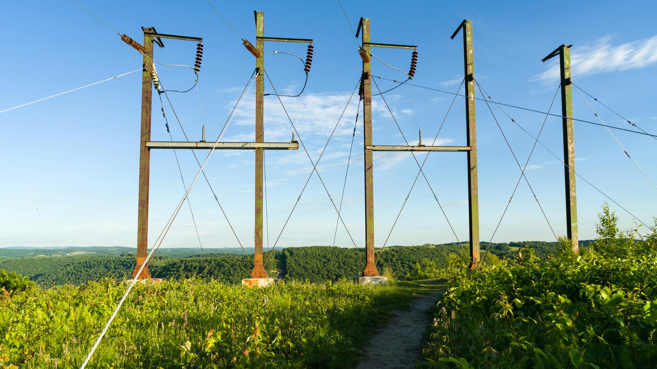 6671b8419d46a1c130706933 Dreamstime M 72998514