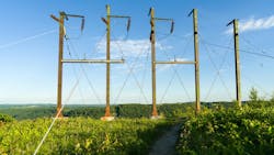 6671b8419d46a1c130706933 Dreamstime M 72998514 6671b8419d46a1c130706933 Dreamstime M 72998514