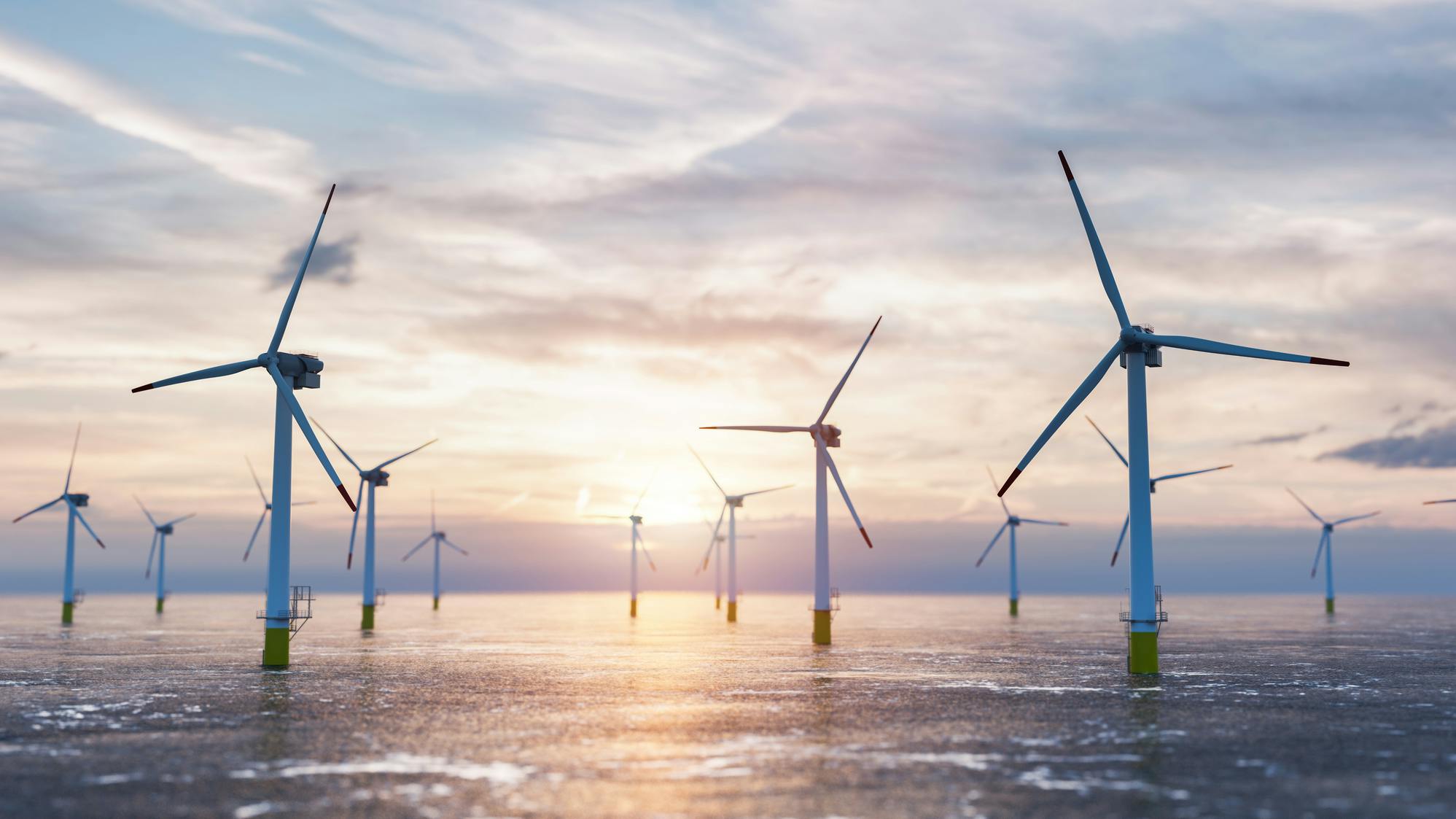 6672ea9da50783d10c07f39d Dreamstime M 1982838921