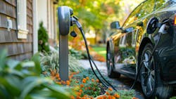 6672ee971bd89c2011ab9a1b Dreamstime M 317152868 6672ee971bd89c2011ab9a1b Dreamstime M 317152868