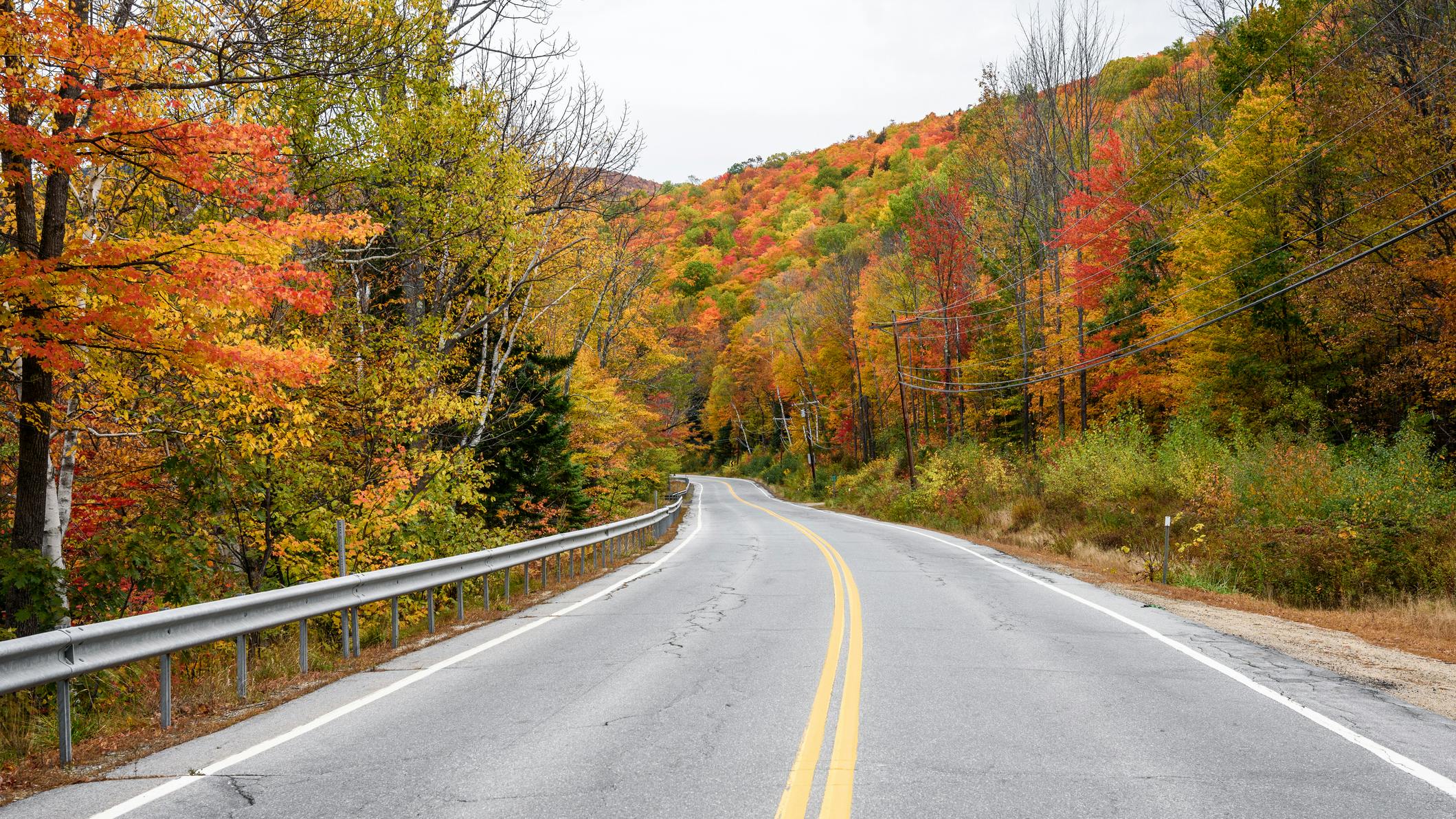 6672fca8cb0d2899f1757dc1 Gettyimages1332500621