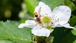 66733c99965da070d7bb2bcf Dreamstime M 319110891 66733c99965da070d7bb2bcf Dreamstime M 319110891