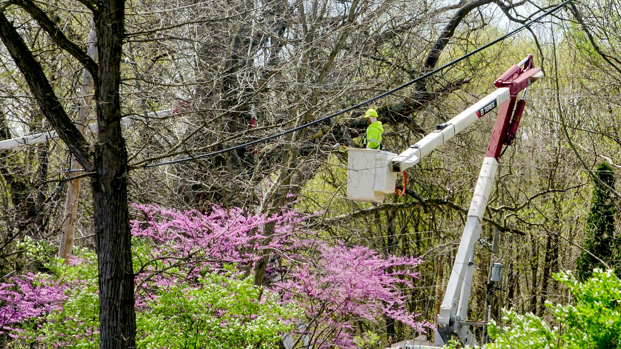 dreamstime_m_94588288