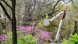 66733d5973ccbf854da85c9f Dreamstime M 94588288 66733d5973ccbf854da85c9f Dreamstime M 94588288