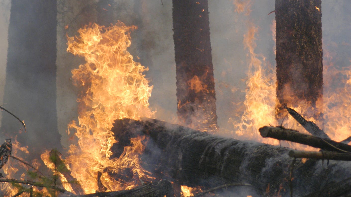 6675bc14f71ffa43d8599d9a Dreamstime M 7530164