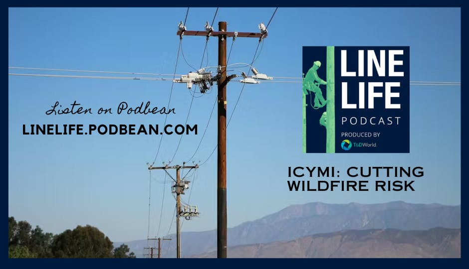 667b38893295254a0b8d8f0c Icymijune28promo