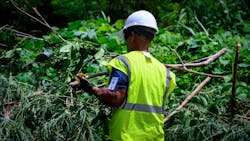 667c9b4e329525f8db8e2186 Image 9 1 667c9b4e329525f8db8e2186 Image 9 1