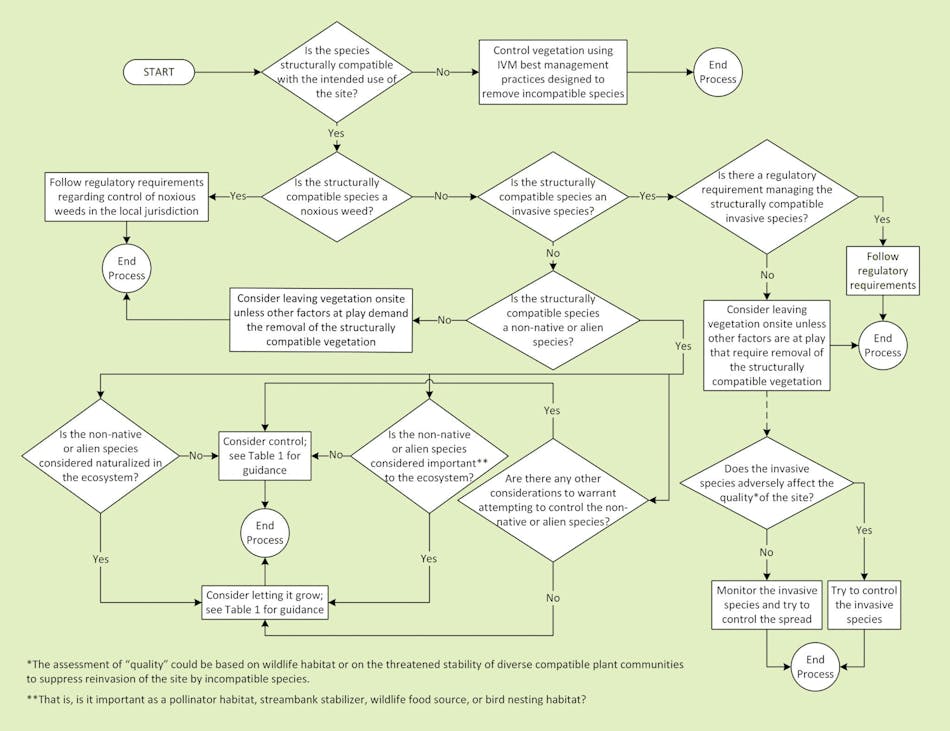decision_keygreen decision_keygreen