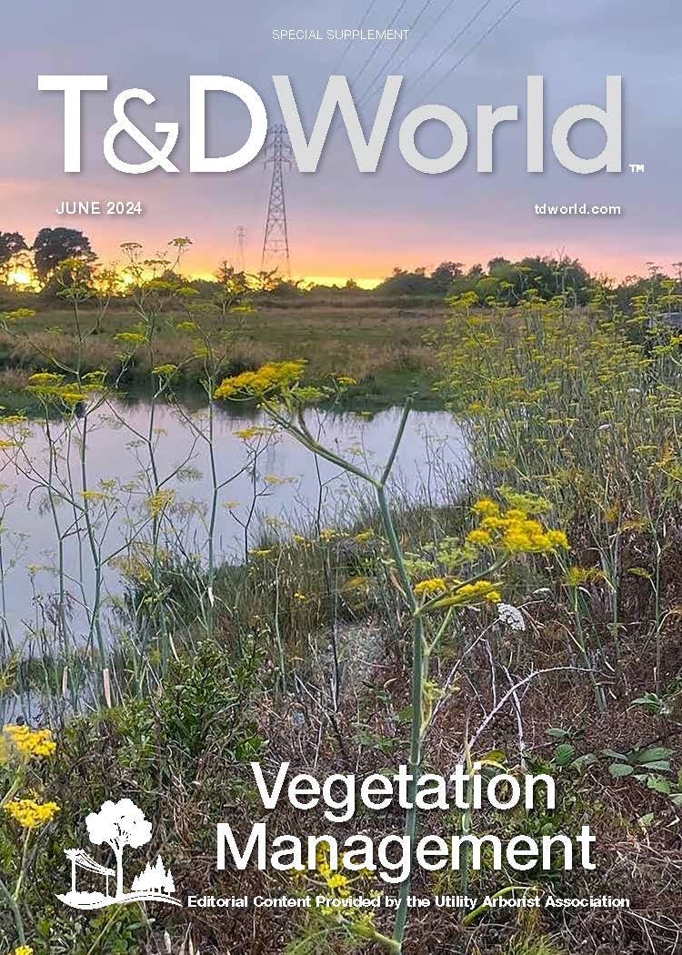 June 2024 Vegetation Management Supplement cover image