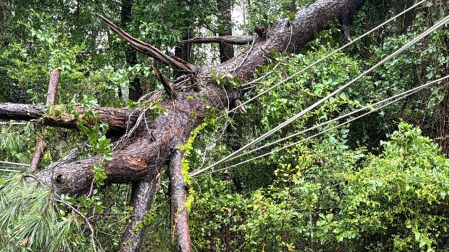 669028af54aa9e4d5fad0913 Samhouston